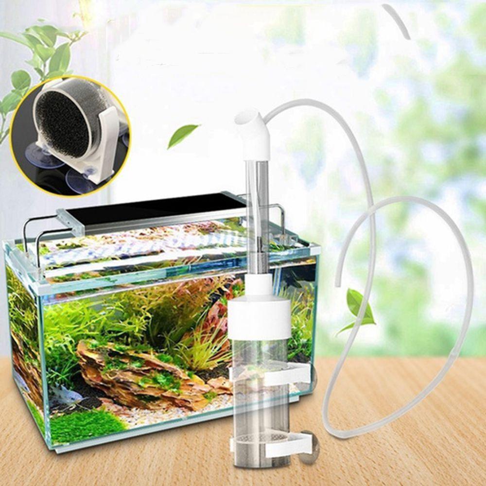 1 Lồng Ấp Trứng Cá Bằng Nhựa Acrylic