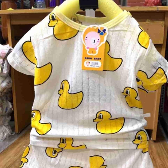 Bộ cotton giấy quảng châu