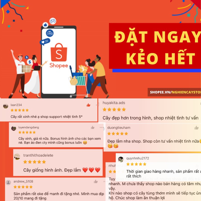 Chậu nhựa mini nhiều màu tự tưới, trồng sen đá, sương rồng, cây mini để bàn