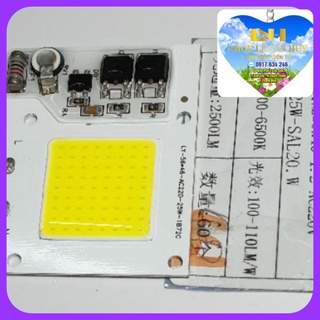Chíp led 25w - 220v siêu sáng cob