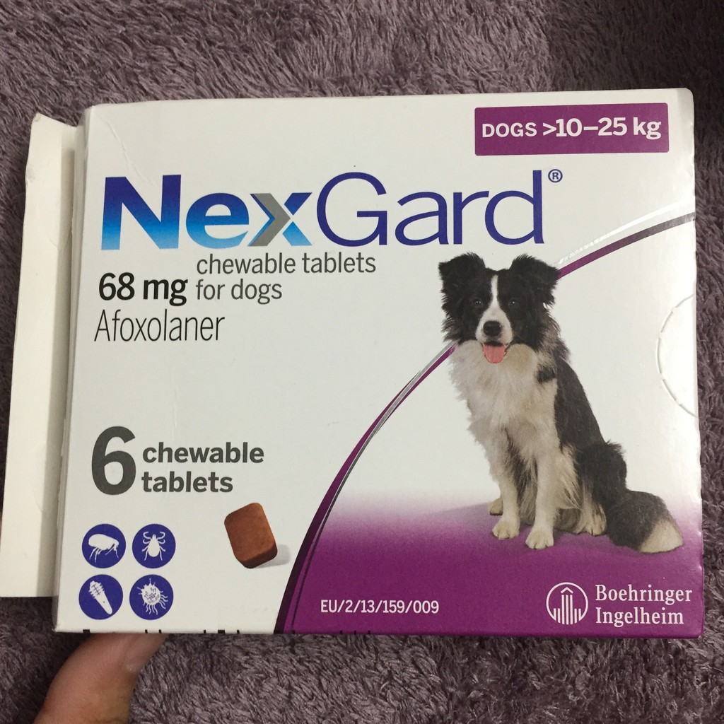 Viên nhai NexGard loại bỏ ve, rận, bọ chét, ghẻ, nấm cho chó