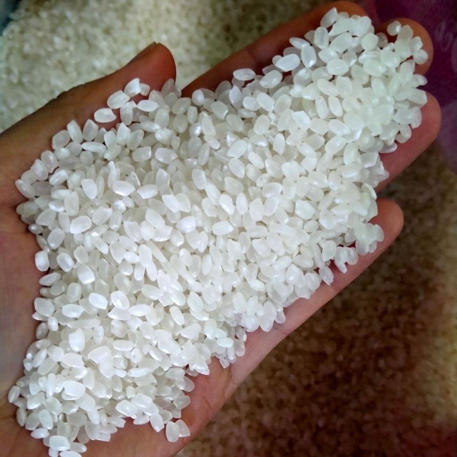 5kg Gạo Lài Nhật Dẻo, Mềm, Ngọt Như Cơm Nếp – Gạo Nhật Làm Sushi - Tân Hưng