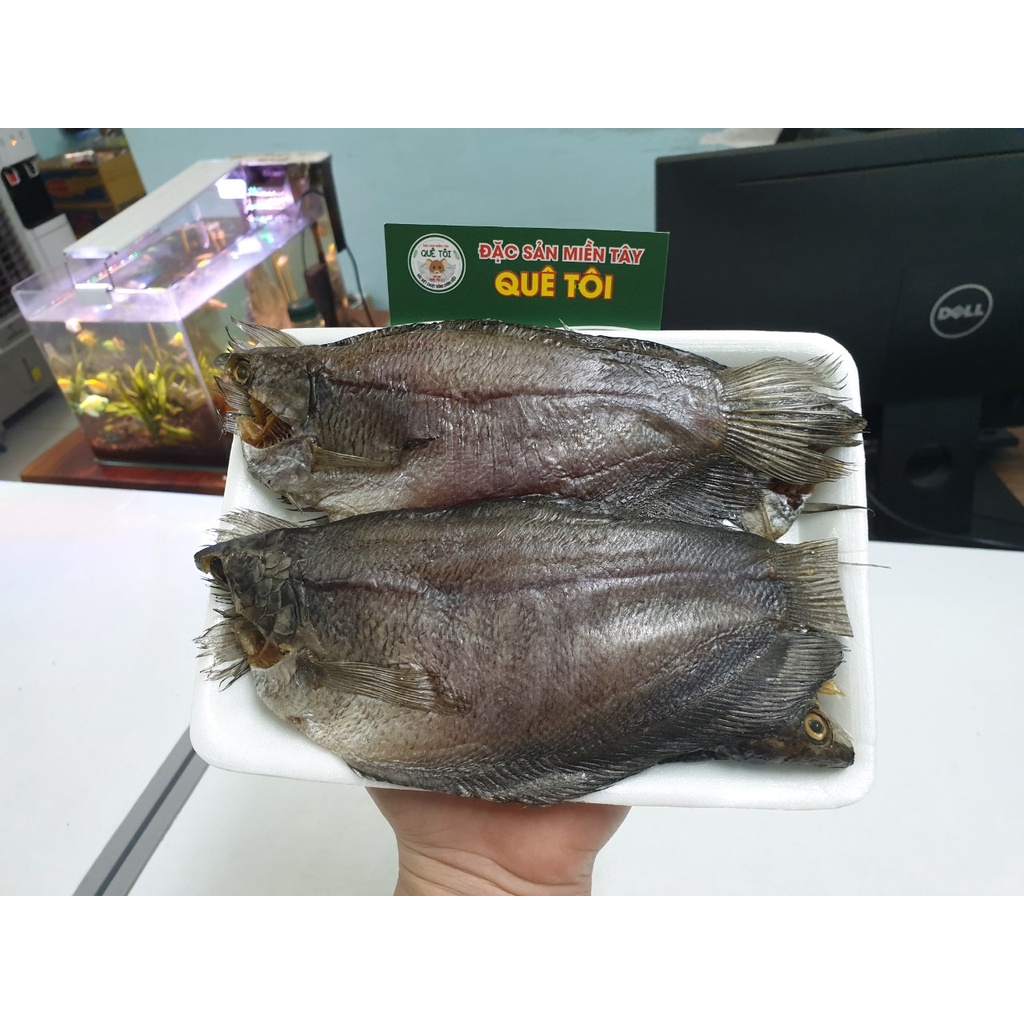 - KHÔ CÁ SẶC BỔI CÀ MAU - KHÔ SẶC 3 NẮNG ĐI NƯỚC NGOÀI - SHIP TOÀN QUỐC