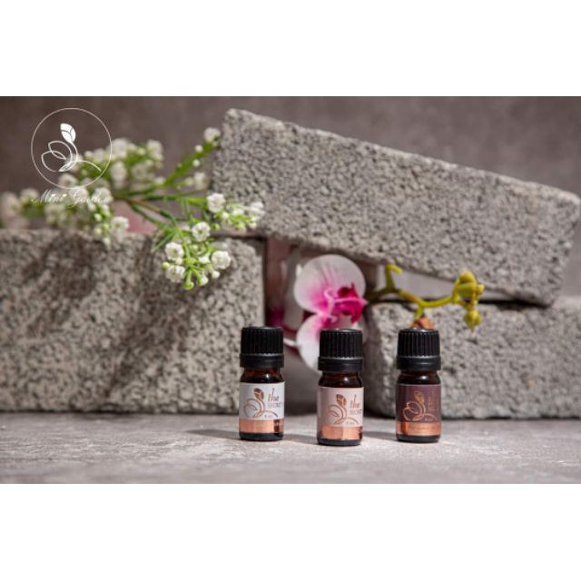 Nước Hoa Thu Hút MINIGARDEN The Secret Garden Perfume 5ml Hàng Cao Cấp