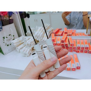 Chuốt mi Innisfree Skinny