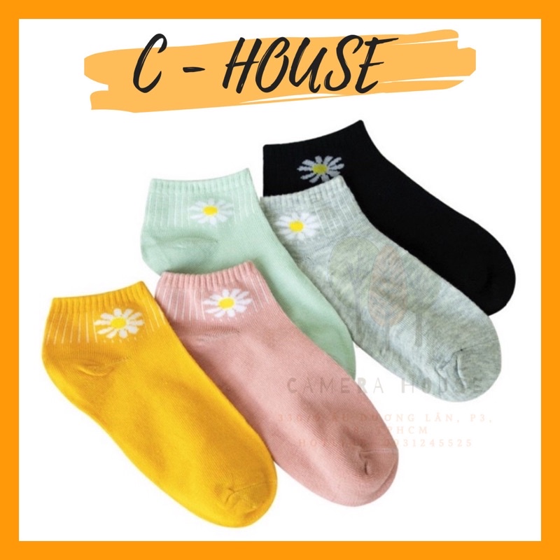 Đôi với - tất thun có hình hoa cúc, hình gấu