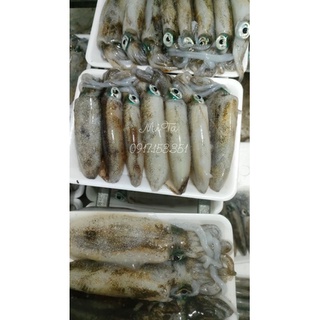 Mực Lá 3 Cô Tô (size 12-13con/kg) chỉ ship HÀ NỘI