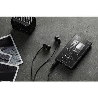 Máy Nghe Nhạc Sony NW-A105