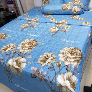 Trọn bộ 5 món drap cotton polly