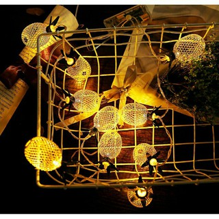 Đèn trang trí hình trái cây lưới - (10 bóng và 20 bóng)