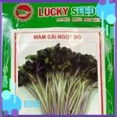 HẠT GIỐNG MẦM CẢI NGỌT ĐỎ GÓI 20 GRAM