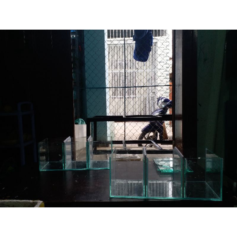 Hồ Cá Betta 03 ngăn