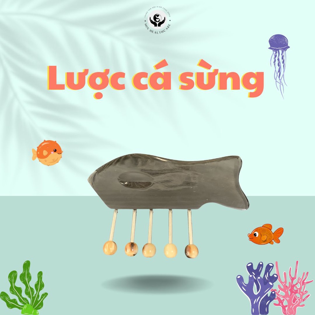 Lược Cá Sừng Min Healthcare