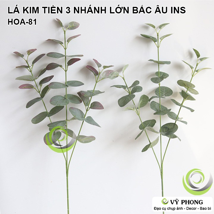 CÀNH LÁ KIM TIỀN 3 NHÁNH LỚN STYLE NORDIC TRANG TRÍ ĐÁM CƯỚI ĐẠO CỤ CHỤP HÌNH SẢN PHẨM INS HOA-81