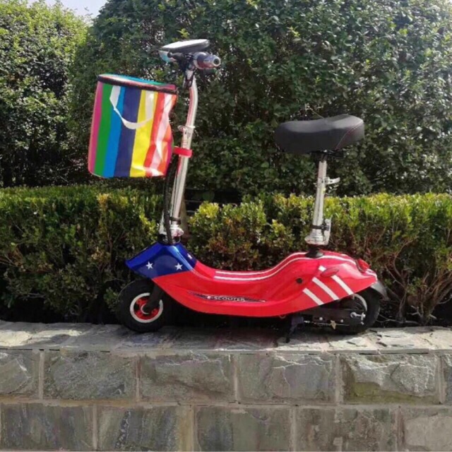 Xe điện mini e-scooter