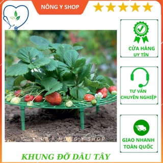 Khung đỡ bằng nhựa 30x30cm trồng dâu tây, bí, dưa hấu - khay hứng dâu tây