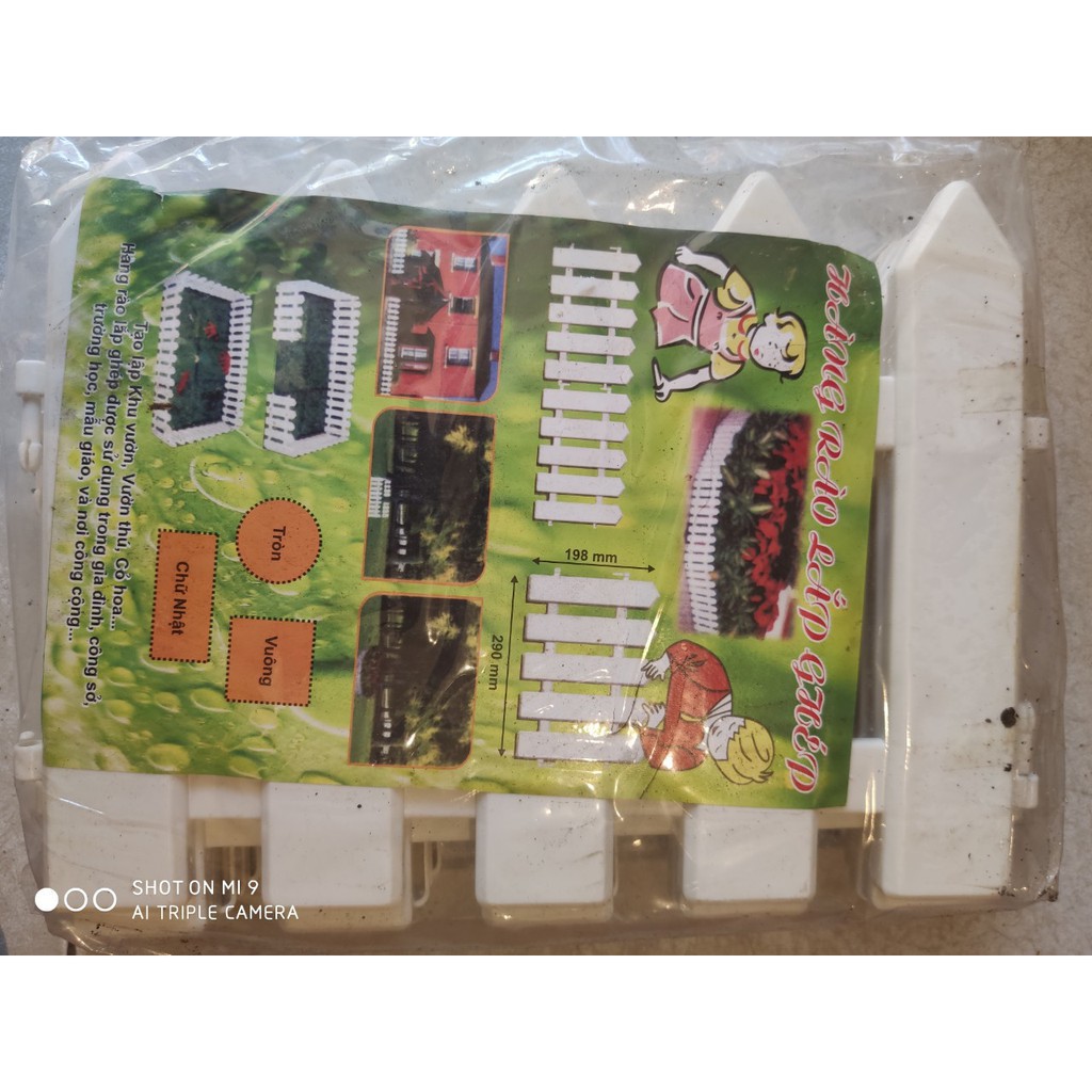 Hàng rào cây thông Noel cao 20cm, dài 1m 80cm