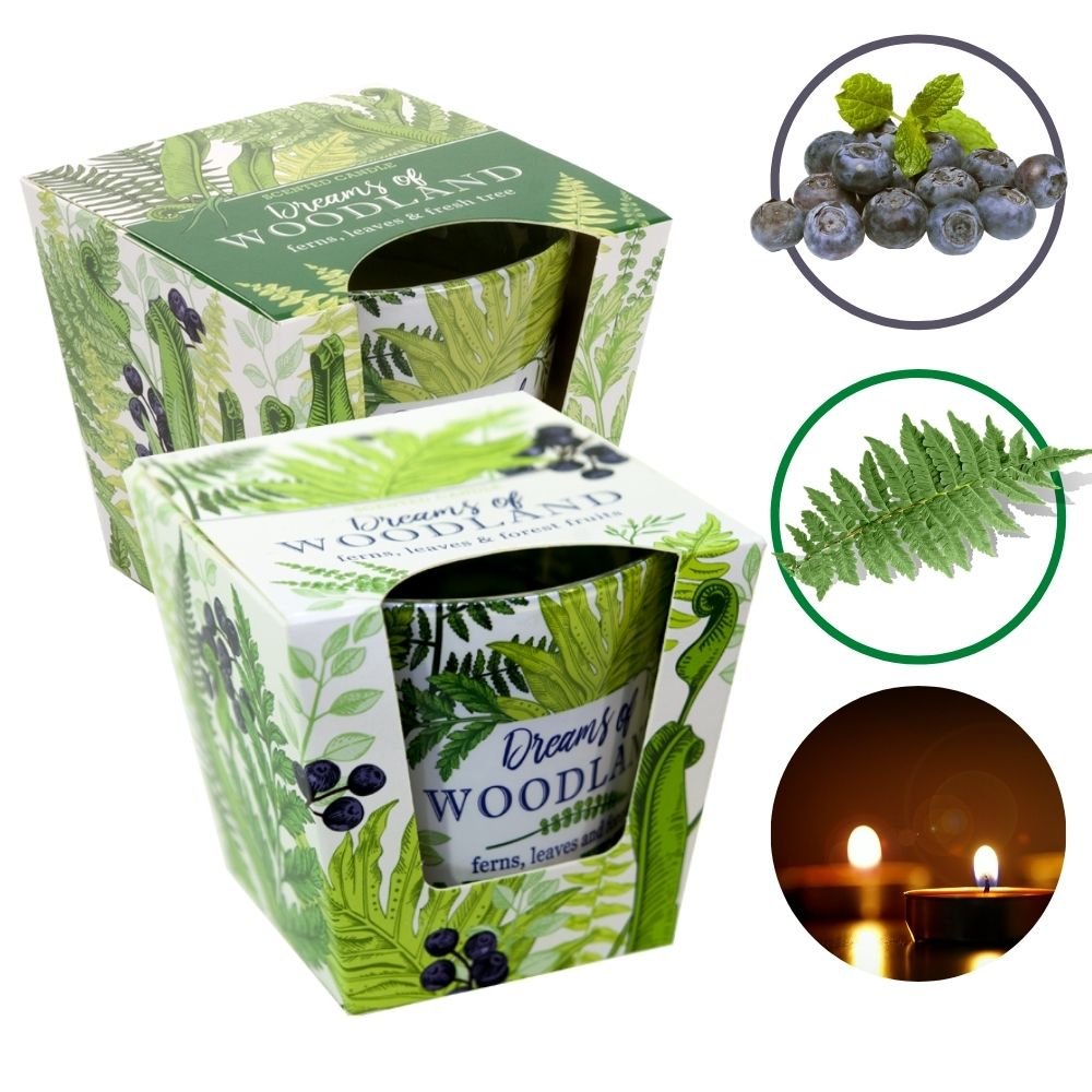 Combo 2 Ly nến thơm cao cấp Bartek Dream of Woodland 115g - cây dương sỉ, nến thơm phòng, thư giãn, khử mùi