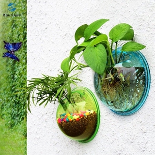 Bể Cá Treo Tường Trong Suốt