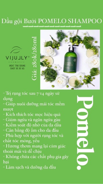 Dầu gội Bưởi POMELO SHAMPOO