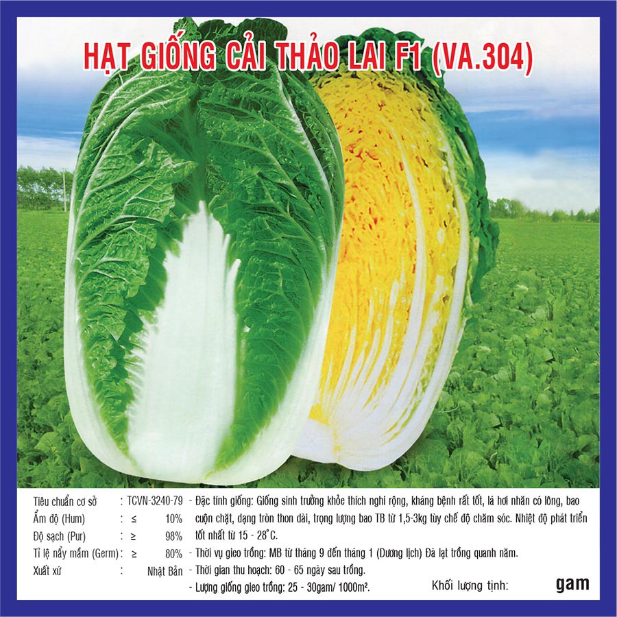 Hạt giống Cải Thảo F1 (VA.304)