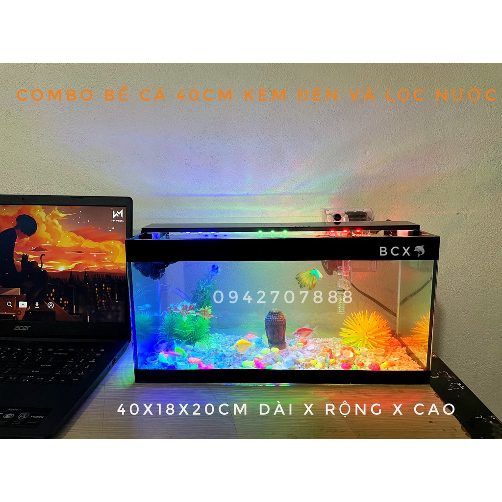 Bộ bể cá cảnh size 40cm đầy đủ đèn lọc và phụ kiện