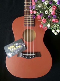 Đàn ukulele Concert