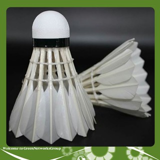 CẦU LÔNG VINA PRO