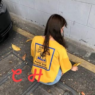Áo chó mack _ch