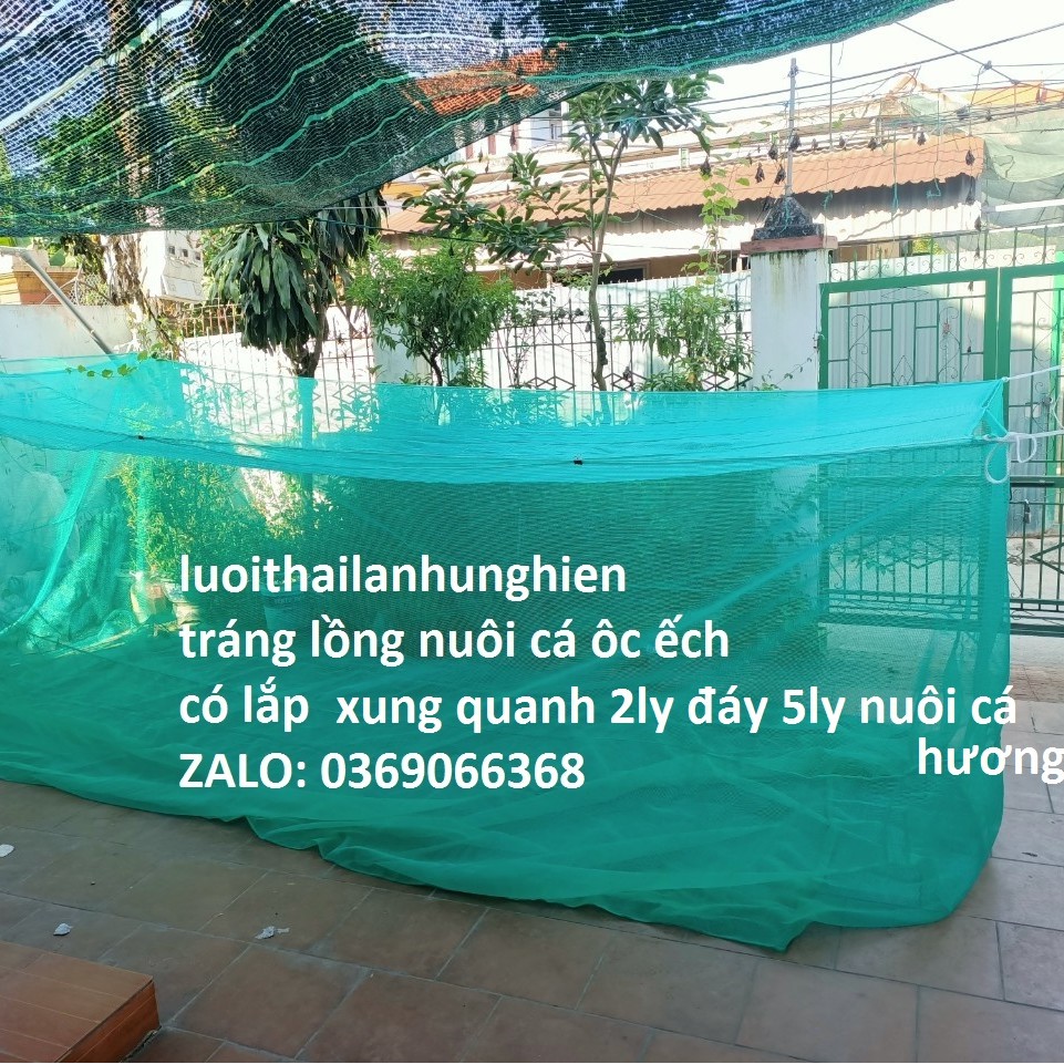 Tráng Nuôi Cá Xung Quanh 2ly đáy 5ly Nuôi Cá Từ Nhỏ Tới To, Lưới Thái Lan Hương cá tra, cá chuôi hoa