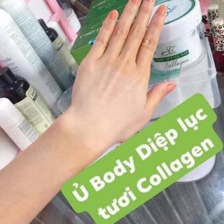 U body DIỆP LỤC COLLAGEN