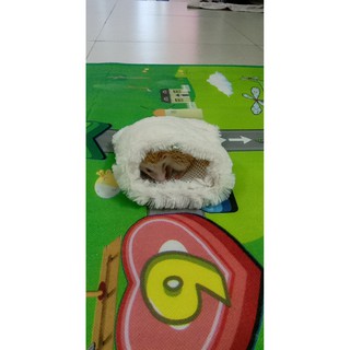 túi ngủ lông ấm áp cho thú cưng