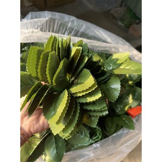 lá hồng các loại