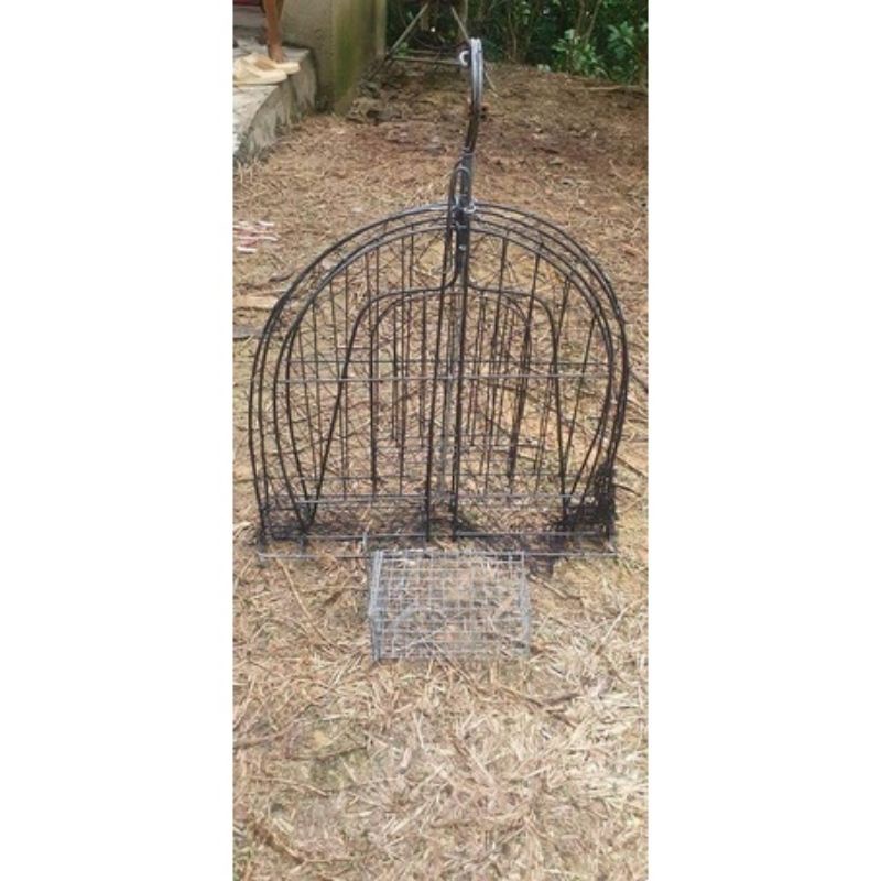 Mẹt Treo Bìm Bịp, Quốc Chuyên Đánh Mồi Nhái, Mồi Chuột