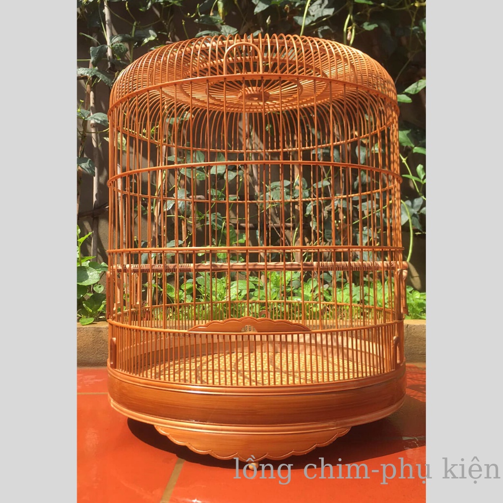 Lồng chim Chòe than Lồng Chim Vác trúc già đẹp kèm phụ kiện