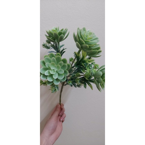 Hoa giả,hoa sen đá to 5 bông