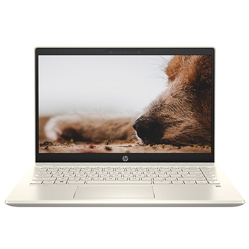 Máy tính xách tay HP Pavilion 14-dv0042TU (i5-1135G7/ 8Gb/ 256GB SSD/ 14inchFHD/ VGA ON/ Win10+Office/ Gold)/2H3L1PA. | BigBuy360 - bigbuy360.vn