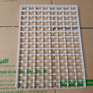 khay ấp trứng bồ câu 112 quả