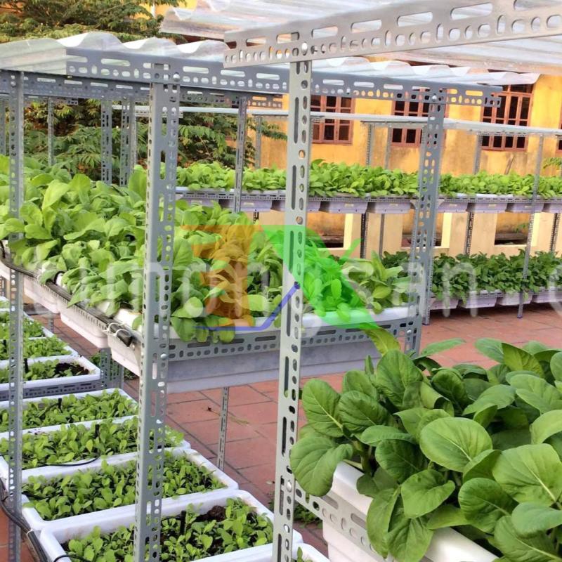 Đất Tribat dinh dưỡng 20dm3, Đất trồng cây có kèm phân bón, Trồng rau mầm, Rau, Hoa