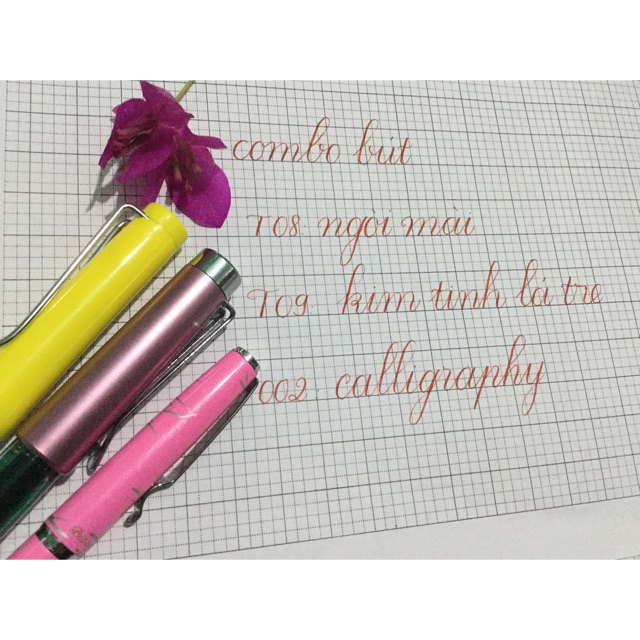 Combo 3 bút luyện chữ đẹp (T08, T09, 002)