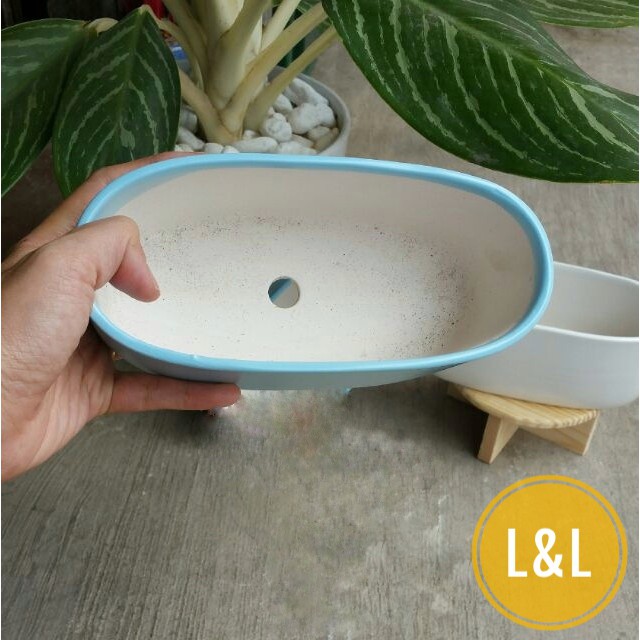 Chậu sứ Bát Tràng Hình Ovan trồng cây Để Bàn, Cây Nội Thất, Sen Đá, X