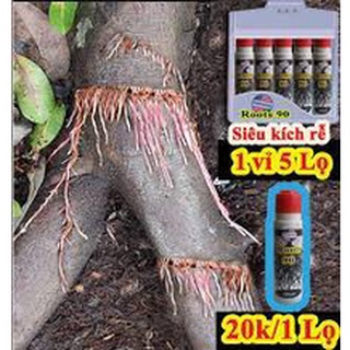 Thuốc kích rễ root90 siêu kích rễ nhập khẩu Mỹ