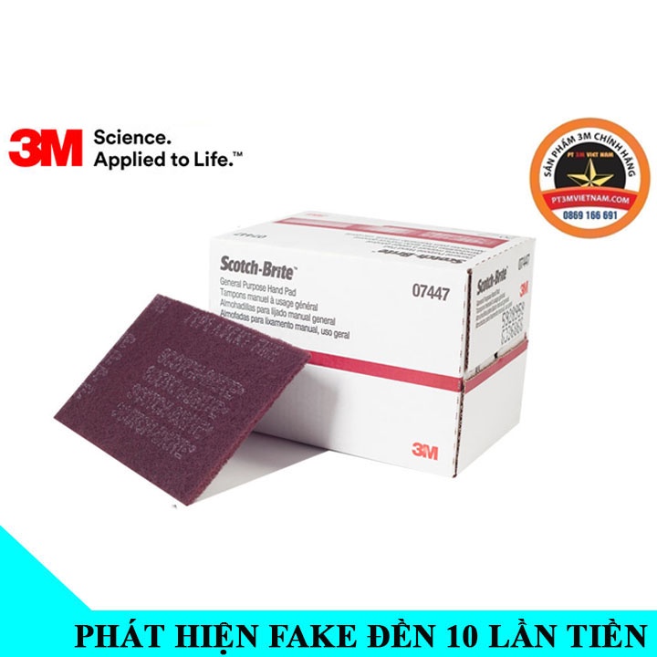 Nhám Bùi Nhùi 3M Scotch Brite 7447 ( Tấm lẻ ) Chính hãng Hà Nội