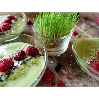 Hạt giống cỏ lúa mì wheatgrass hữu cơ Markal 1kg