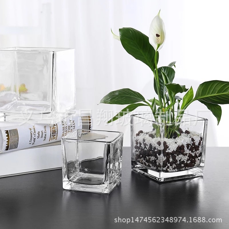 Lọ thủy tinh hình vuông, chậu trong suốt, chuyên dùng trồng cây thủy sinh, cắm hoa để bàn, decor nội thất miu's shop