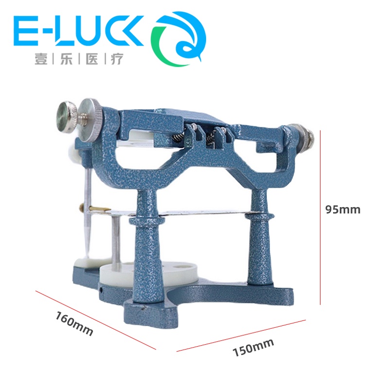 Nam Châm Nha Khoa Kích Thước Lớn Đầy Đủ