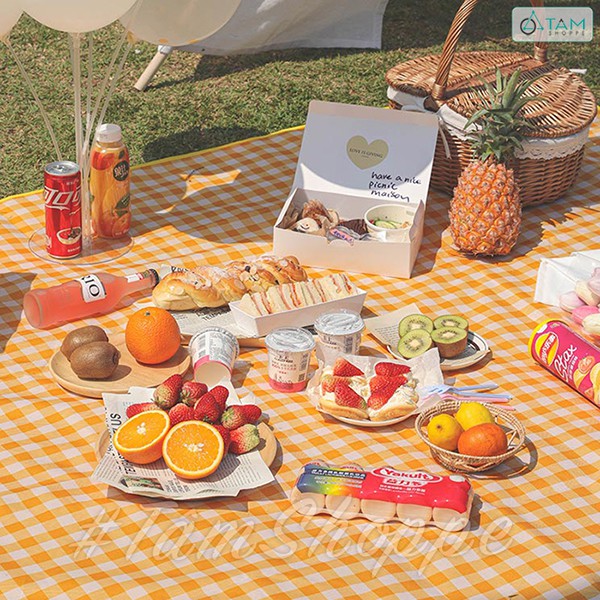 [CHỐNG THẤM NƯỚC] Thảm picnic dã ngoại vải chống thấm cao cấp 150x200cm