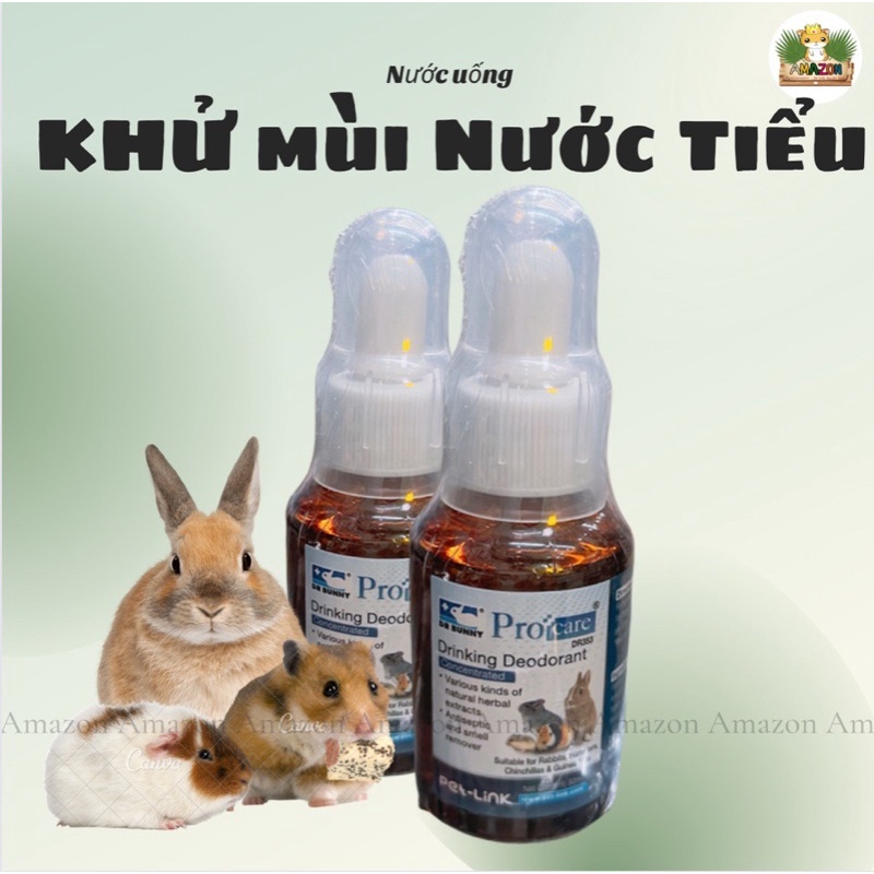 Ngăn chặn mùi hôi từ nước tiểu thú cưng