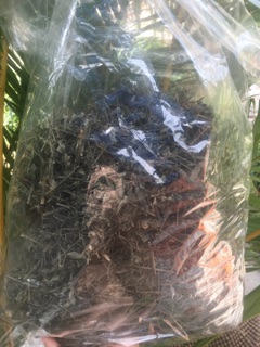 1kg Bạch hoa xà thiệt thảo (khô, sạch, mới)