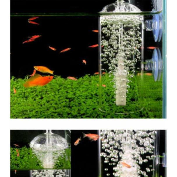 Cốc sủi chống văng- Cốc sủi oxi chống bắn nước ra ngoài